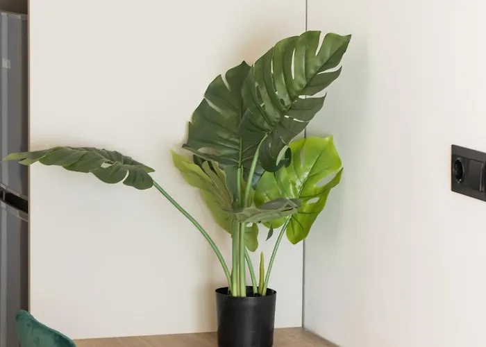 Muse Elegante By Binobi! Apartment *